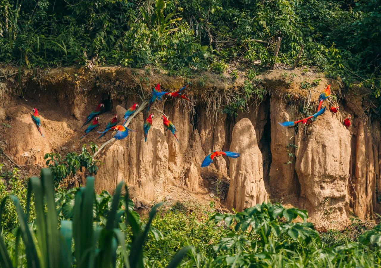 Refugio Amazonas Lodge Тамбопата Экстерьер фото