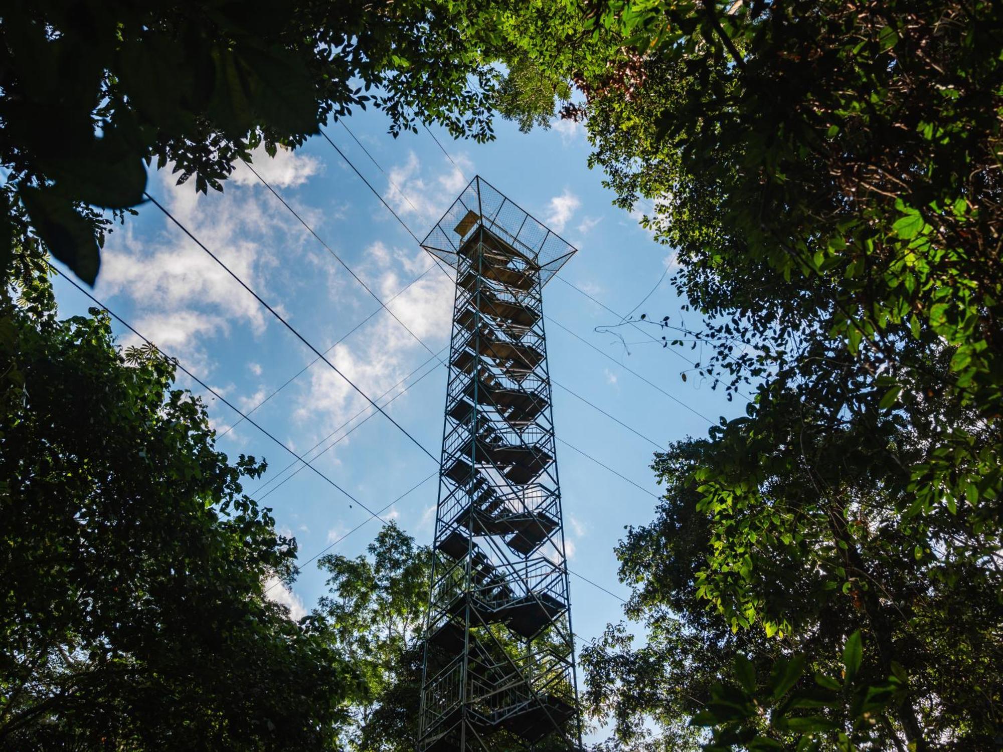 Refugio Amazonas Lodge Тамбопата Экстерьер фото
